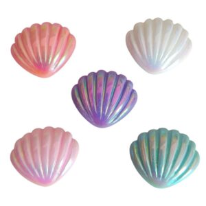 Concha do Mar Irisada - Kit 5 Unidades