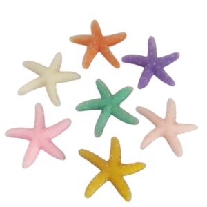 Estrela do Mar em Resina - 2 Unidades